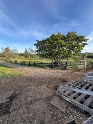 Área rural com 4 dormitórios, foto 2