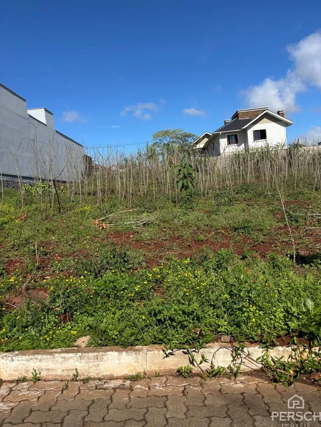 Terreno, foto 2