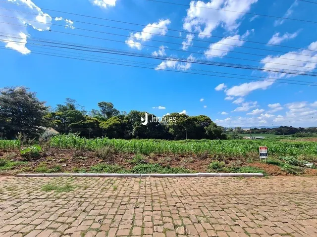 Vista da propriedade com campo seco e pavimento de tijolos.