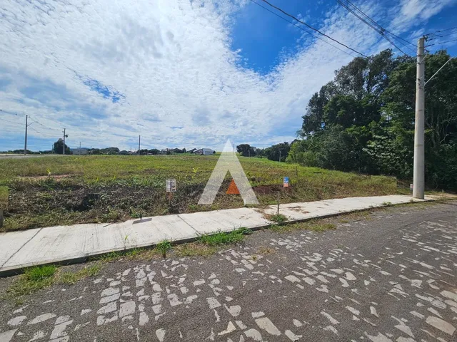Terreno, foto 3