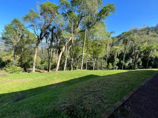 Vista de um campo verde com árvores altas e colinas ao fundo.