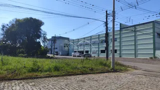 Terreno, foto 4