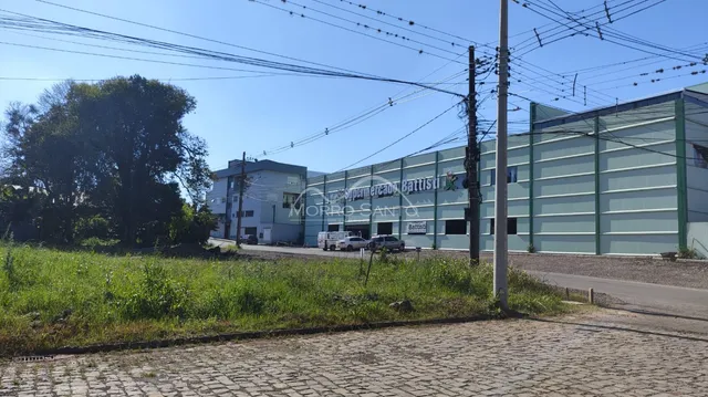 Terreno, foto 4
