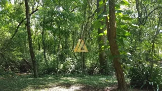 Área rural com 1 dormitório, foto 37