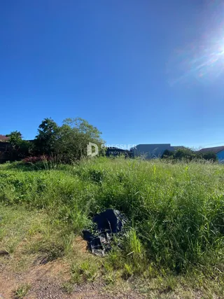 Terreno, foto 2