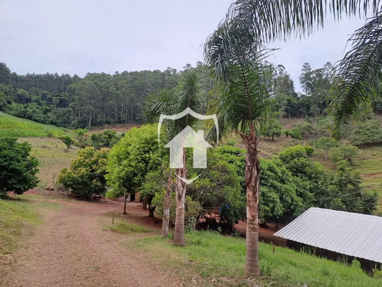 Área rural com 1 dormitório, foto 1