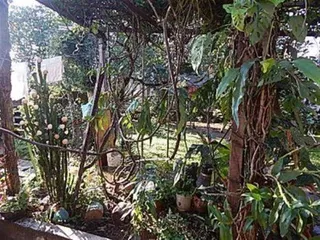 Casa com 3 dormitórios, foto 3