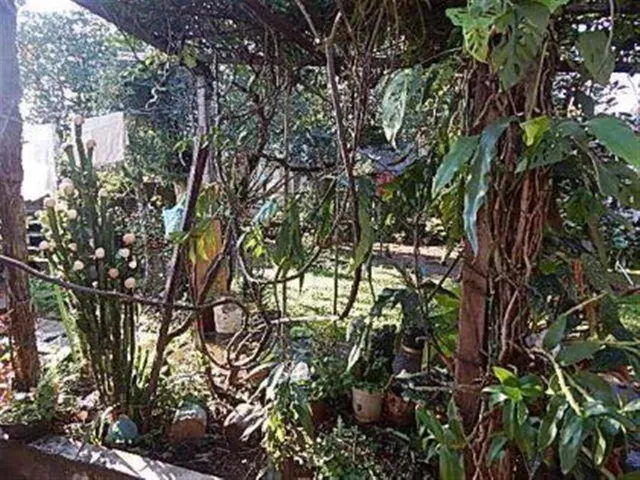 Casa com 3 dormitórios, foto 3