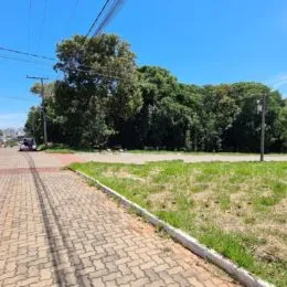 Terreno, foto 5