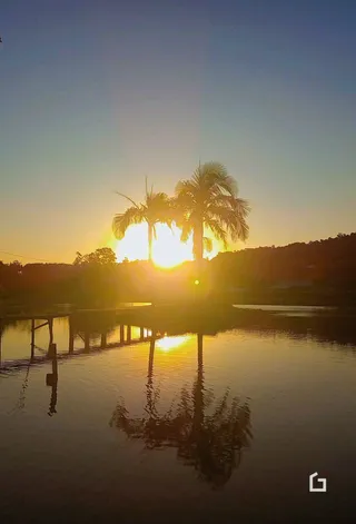 Reflexo do sol e palmeiras sobre a água.