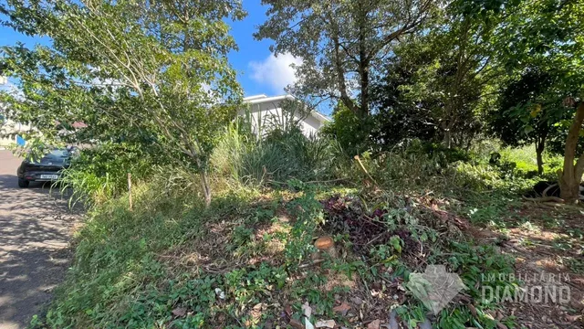 Terreno, foto 3