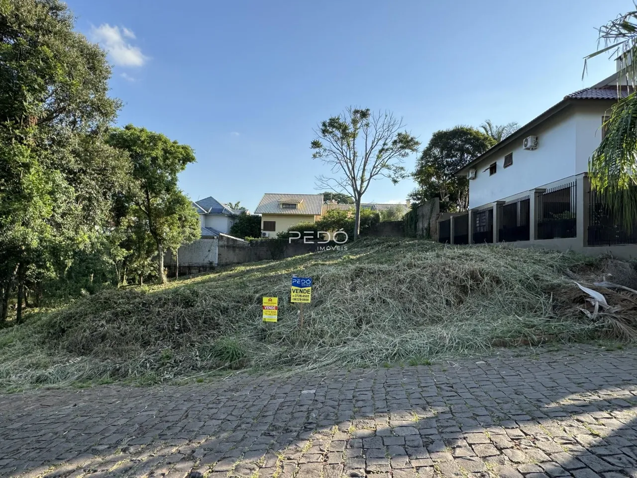 Terreno, foto 1
