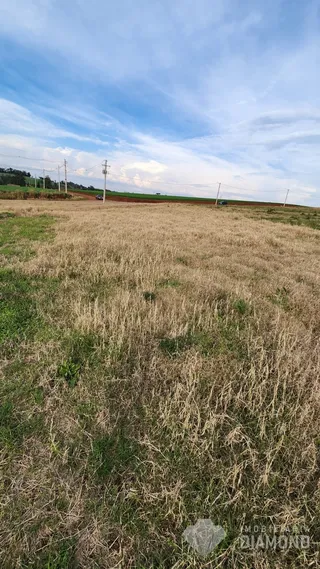 Terreno, foto 3