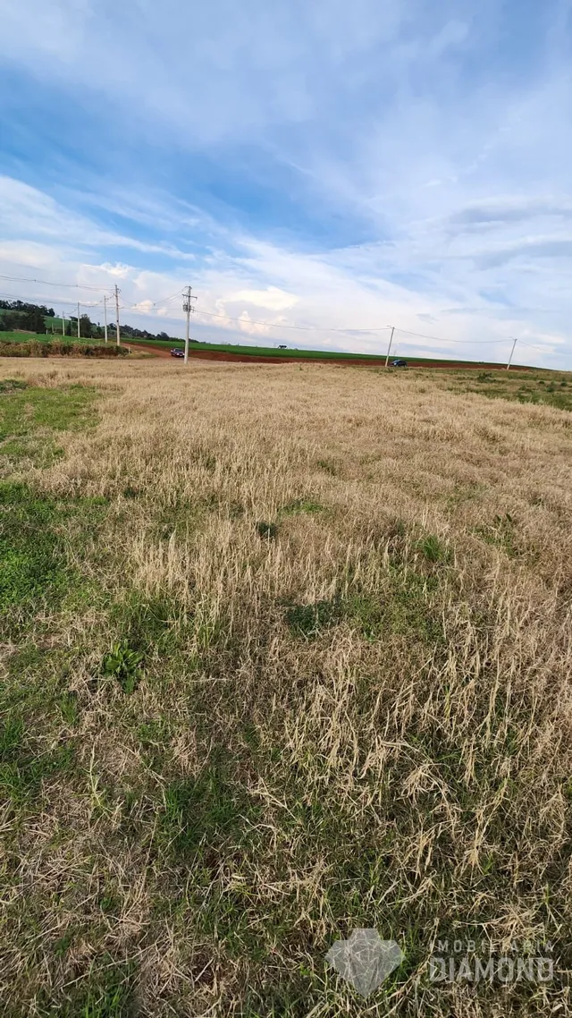 Terreno, foto 3