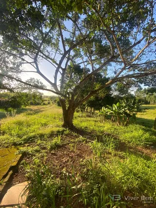 Área rural com 2 dormitórios, foto 15