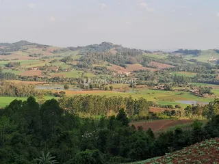 Área rural com 3 dormitórios, foto 8