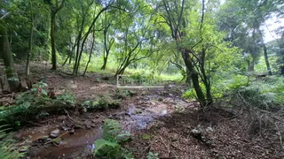 Área rural, foto 17