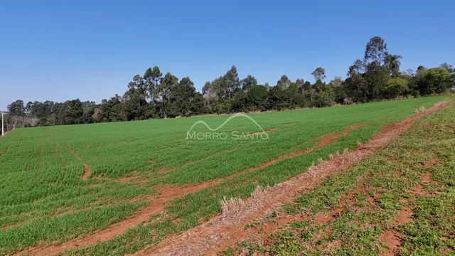 Área rural, foto 2