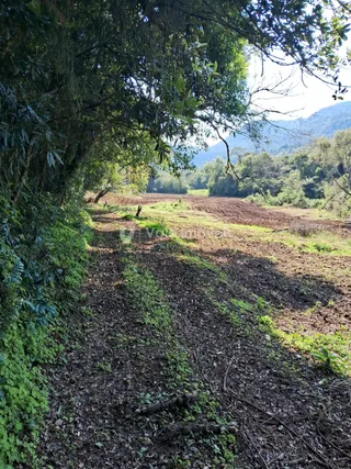 Área rural, foto 5