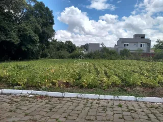 Terreno, foto 3