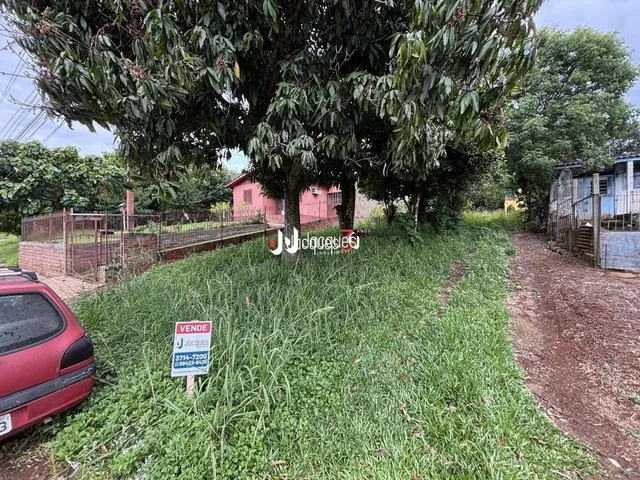 Vista externa de um terreno com vegetação densa e cerca de madeira.