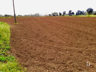 Campo de terra arada com vegetação ao lado.