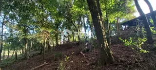 Área rural, foto 12