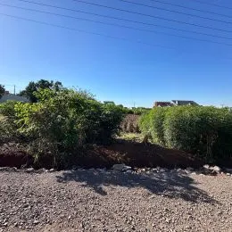 Vista externa mostrando vegetação densa e solo de cascalho.