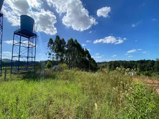 Vista externa de um campo de grama alta com árvores ao fundo sob um céu azul.