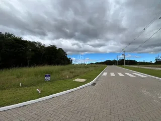 Terreno, foto 5