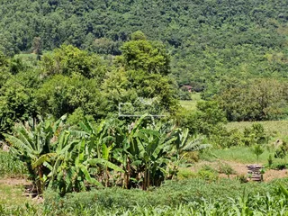 Terreno, foto 4