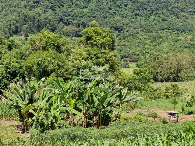 Terreno, foto 4