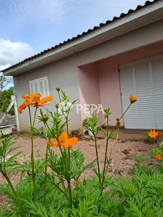 Casa com 2 dormitórios, foto 2