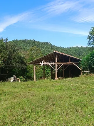 Estrutura rústica de madeira em uma área gramada com vista para a floresta.