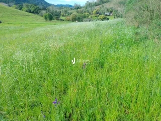 Área rural, foto 18