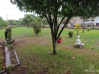 Jardim gramado com árvores e uma estátua branca em uma propriedade.