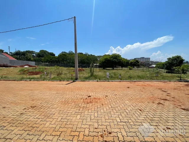 Terreno, foto 2