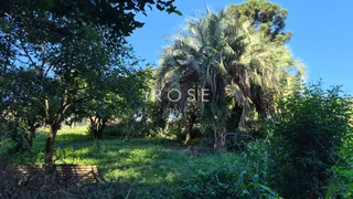 Área rural com 3 dormitórios, foto 7