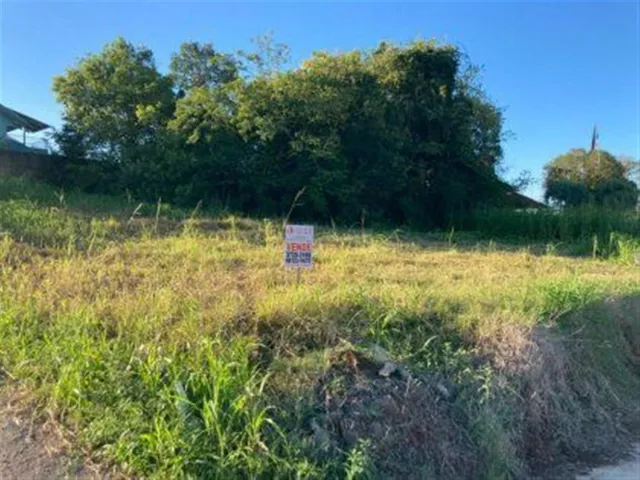 Terreno, foto 3