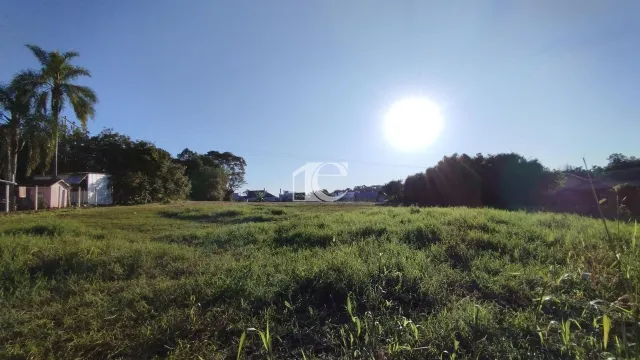 Terreno, foto 4
