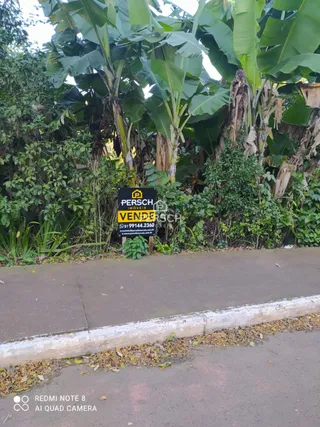 Vista externa da propriedade com vegetação tropical e calçada no primeiro plano.