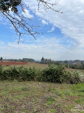 Vista panorâmica de uma área de campo com vegetação rasteira no horizonte.