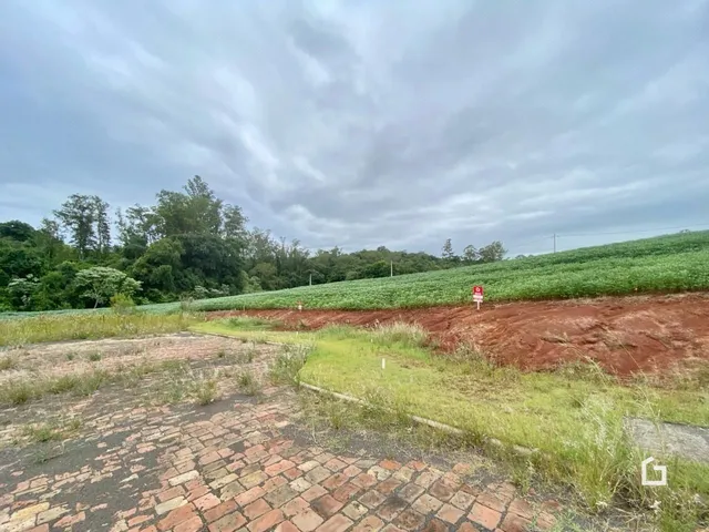 Terreno, foto 3
