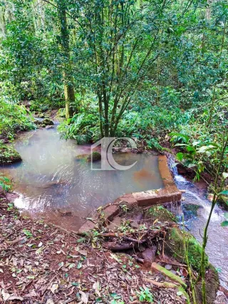 Área rural, foto 8