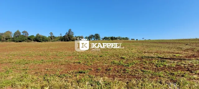 Vista de um campo aberto com vegetação rasteira sob um céu azul.