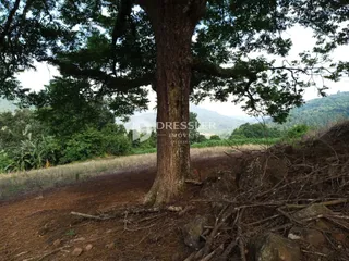 Área rural, foto 7