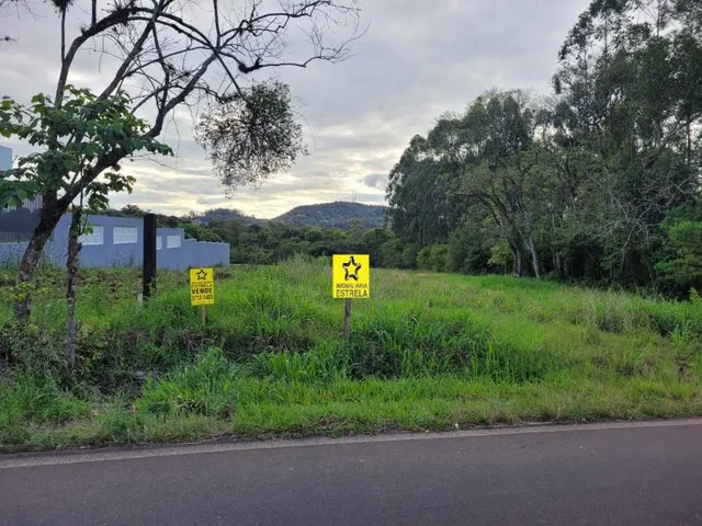 Terreno, foto 2