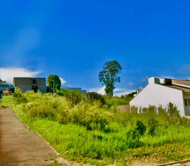Terreno