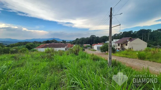 Paisagem rural com grama alta e residências ao fundo.