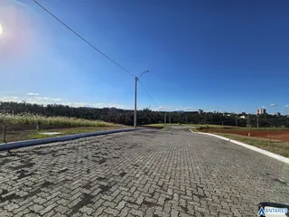 Terreno, foto 6